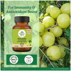 Organic India Amalaki Capsule 60